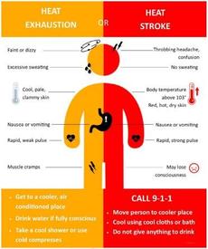 The WGFC wants you to know that with a Excessive Heat Warning in effect, knowing the difference between heat exhaustion and heat stroke is important.  Learn more here.